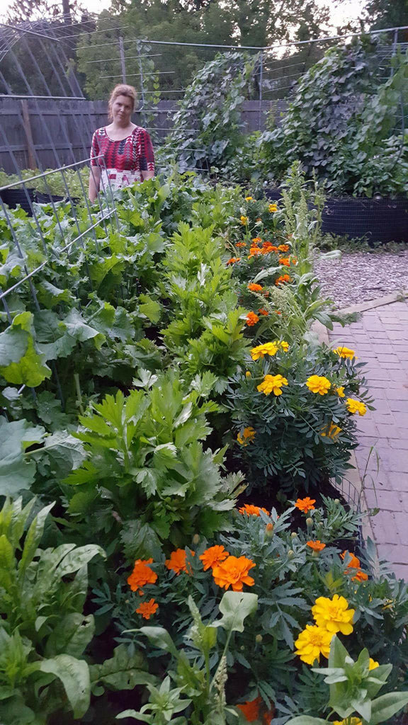 Tip of the Week- Marigolds for Pest Control